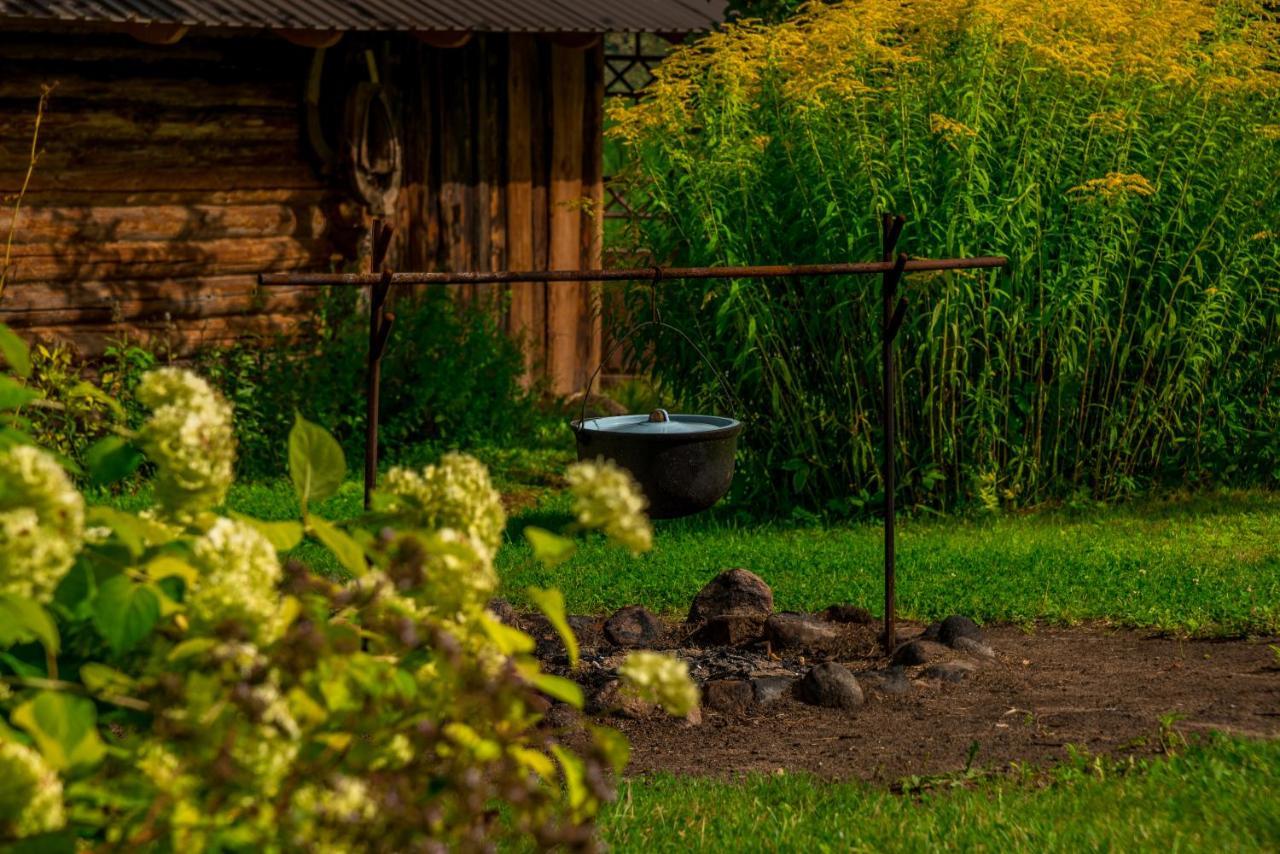 Idilliska Latgaliesu Lauku Maja Ar Melno Pirti Villa Aglona Buitenkant foto
