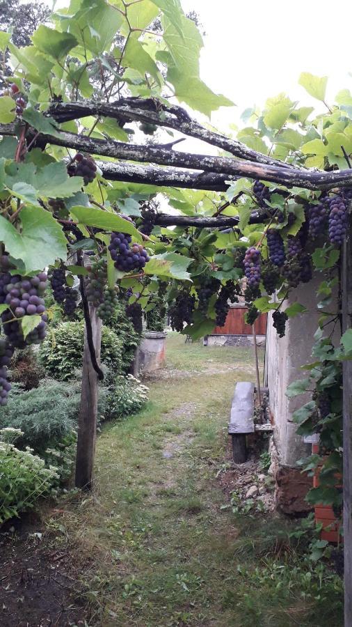 Idilliska Latgaliesu Lauku Maja Ar Melno Pirti Villa Aglona Buitenkant foto