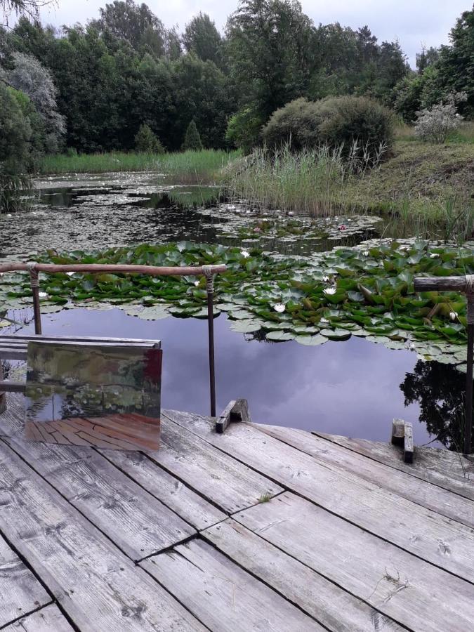 Idilliska Latgaliesu Lauku Maja Ar Melno Pirti Villa Aglona Buitenkant foto