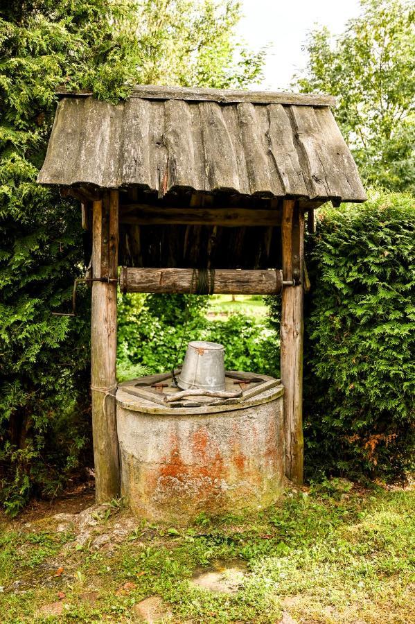 Idilliska Latgaliesu Lauku Maja Ar Melno Pirti Villa Aglona Buitenkant foto