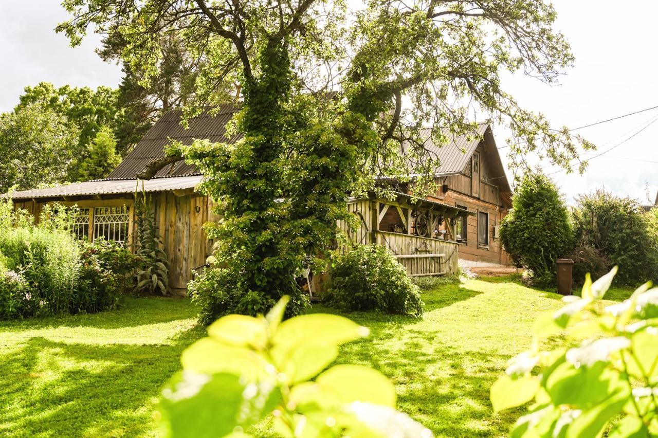 Idilliska Latgaliesu Lauku Maja Ar Melno Pirti Villa Aglona Buitenkant foto