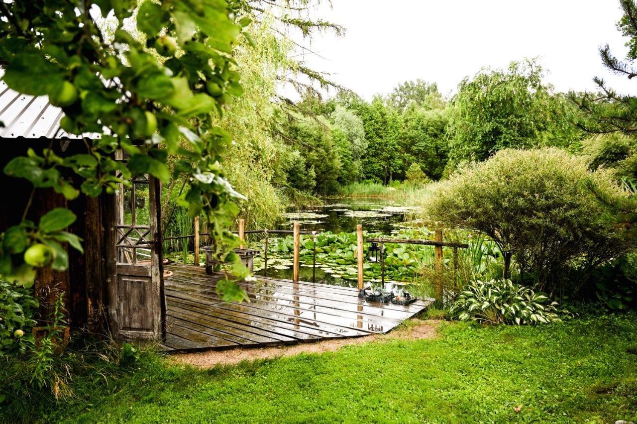 Idilliska Latgaliesu Lauku Maja Ar Melno Pirti Villa Aglona Buitenkant foto